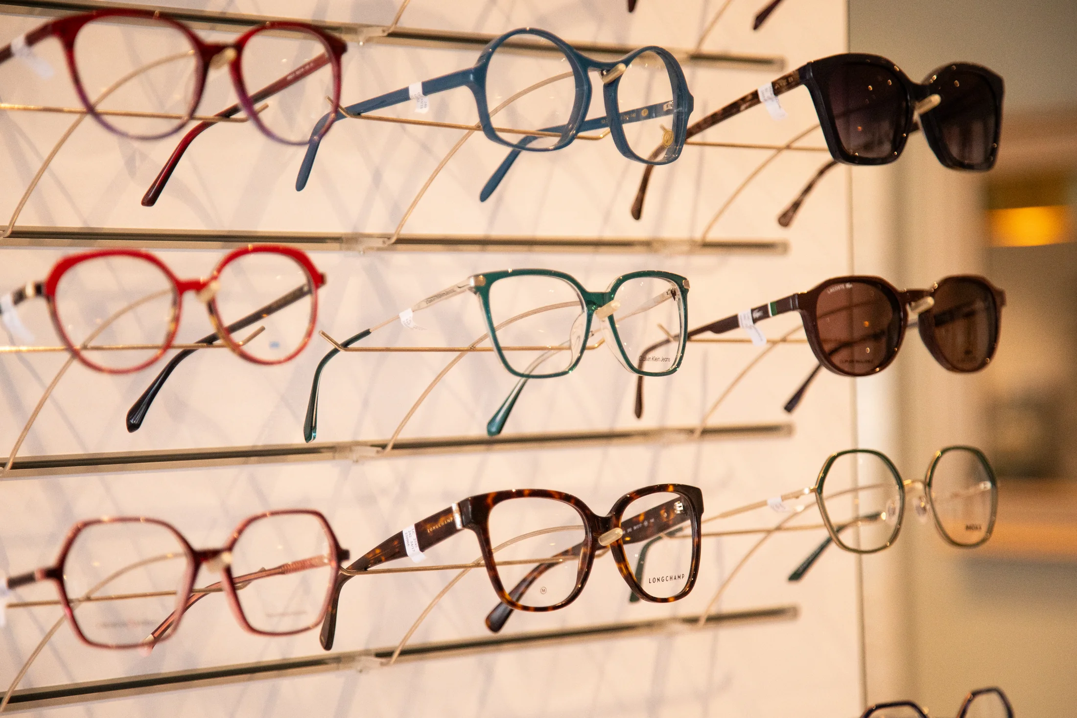 Auswahl moderner Brillenfassungen bei Optik Werner